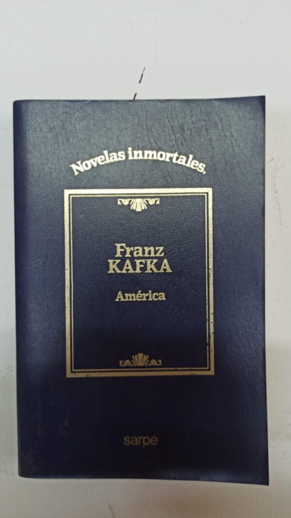 59aa6a1a-bc32-4819-9e36-67b5d21ef8d9 America - Franz Kafka