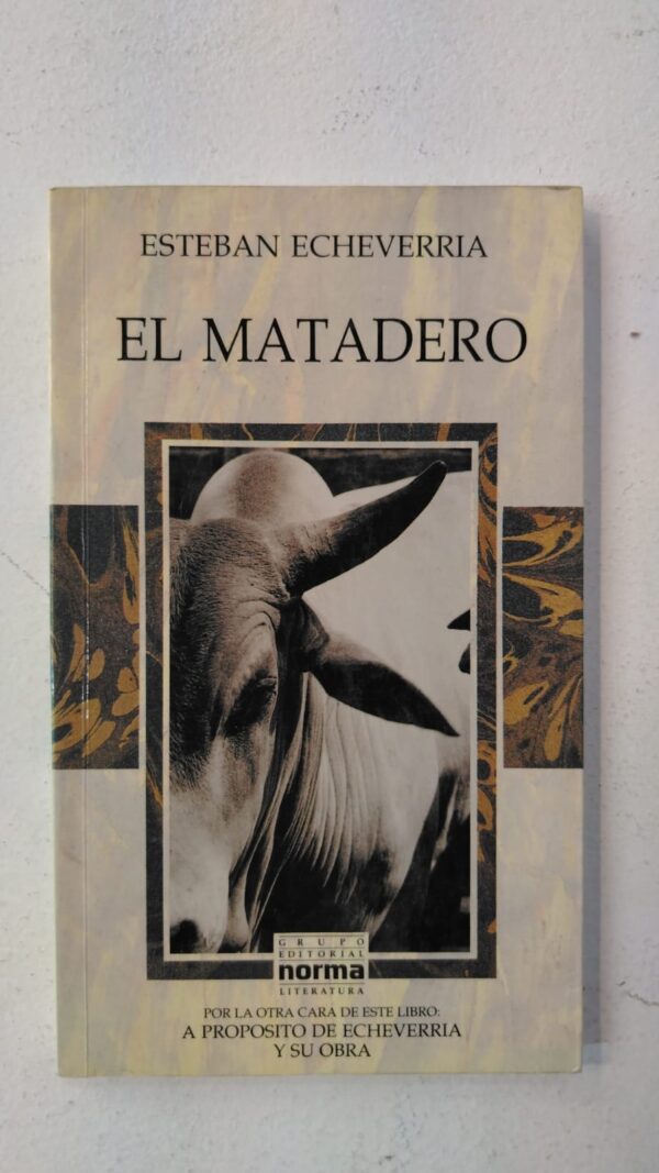 62196e49-b70d-4021-bea4-a0c2d68f4b8c El matadero - Esteban Echeverria