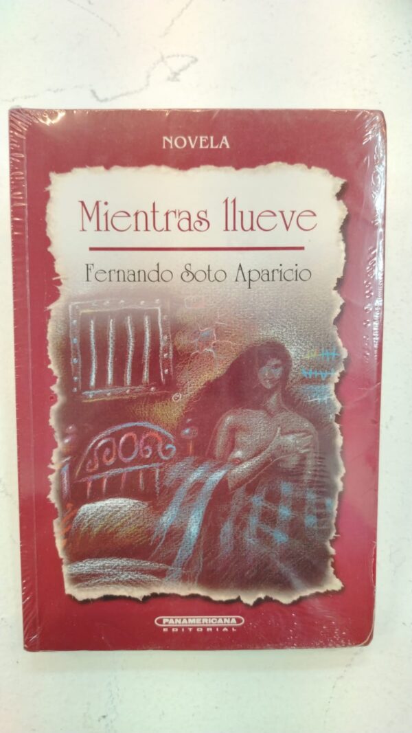 Mientras llueve – Fernando Soto Aparicio