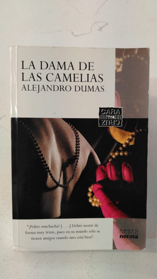 WhatsApp Image 2025-07-09 at 1.01.03 PM La dama de las camelias - Alejandro Dumas