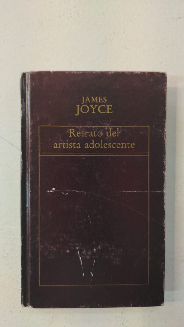 WhatsApp Image 2025-07-09 at 12.57.05 PM (2) Retrato del artista adolescente - James Joyce